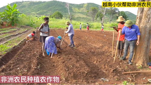 越南小伙幫助非洲農(nóng)民種植農(nóng)作物