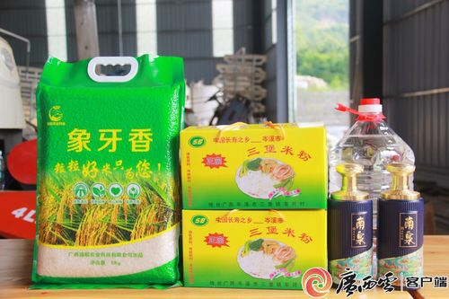 農(nóng)機(jī)助力 新農(nóng)人 圓夢 梁勇安 農(nóng)業(yè)機(jī)械化繪就鄉(xiāng)村振興新 稻 路